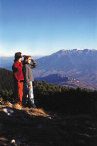 Eco-Travel: European Green Getaway Image